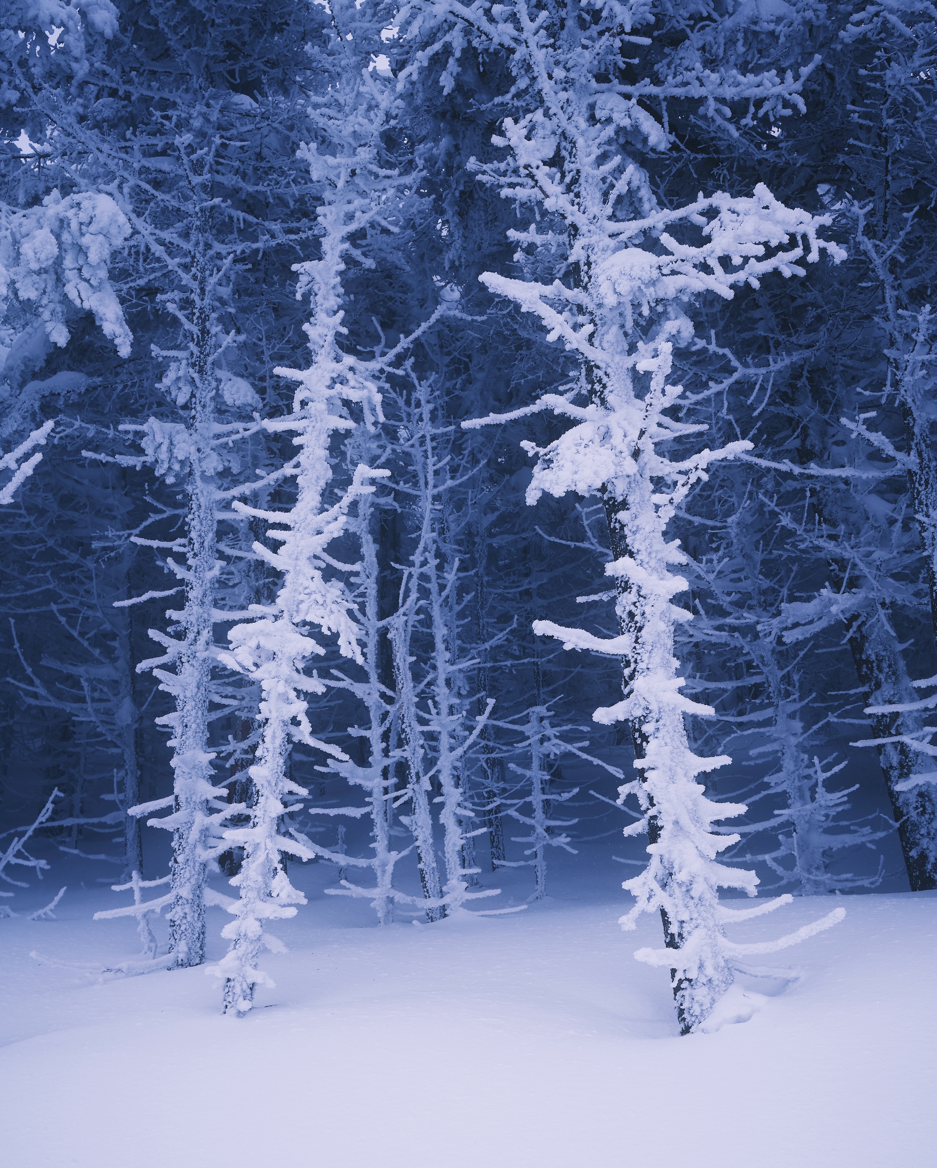 B3D08E99-8604-474C-A4F4-3BEAD950D9F9