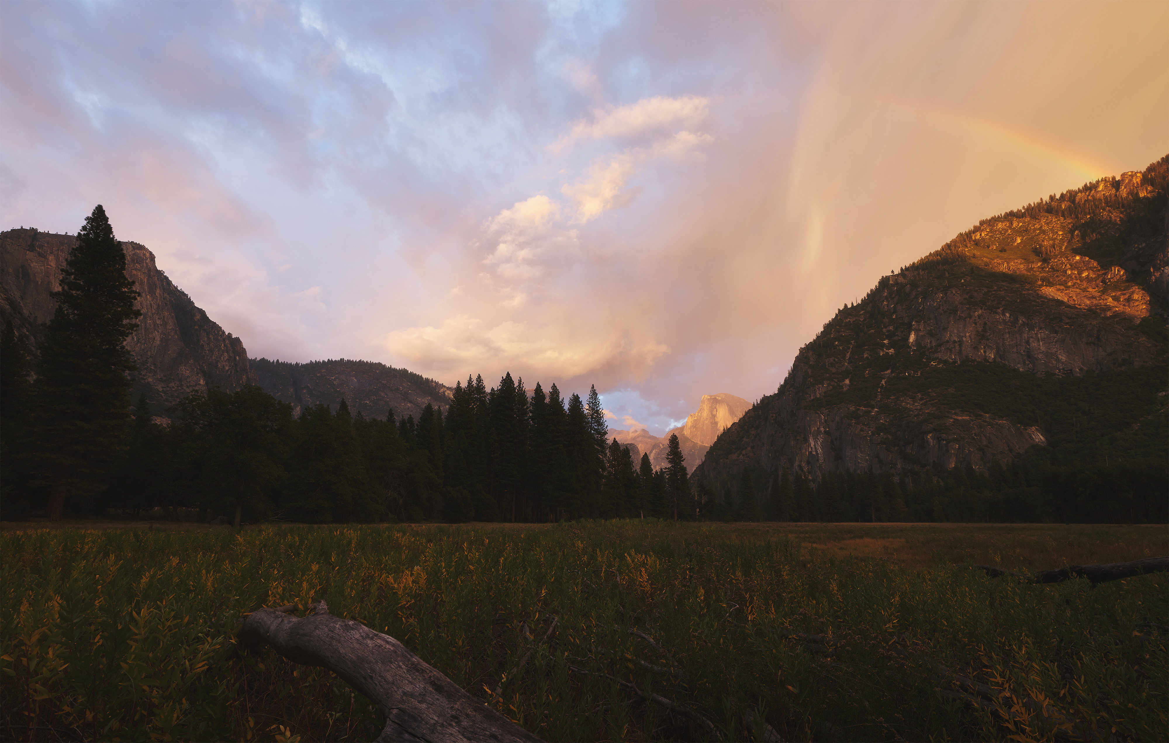 Preferred Crop – DSCF6115 (GFX100S)